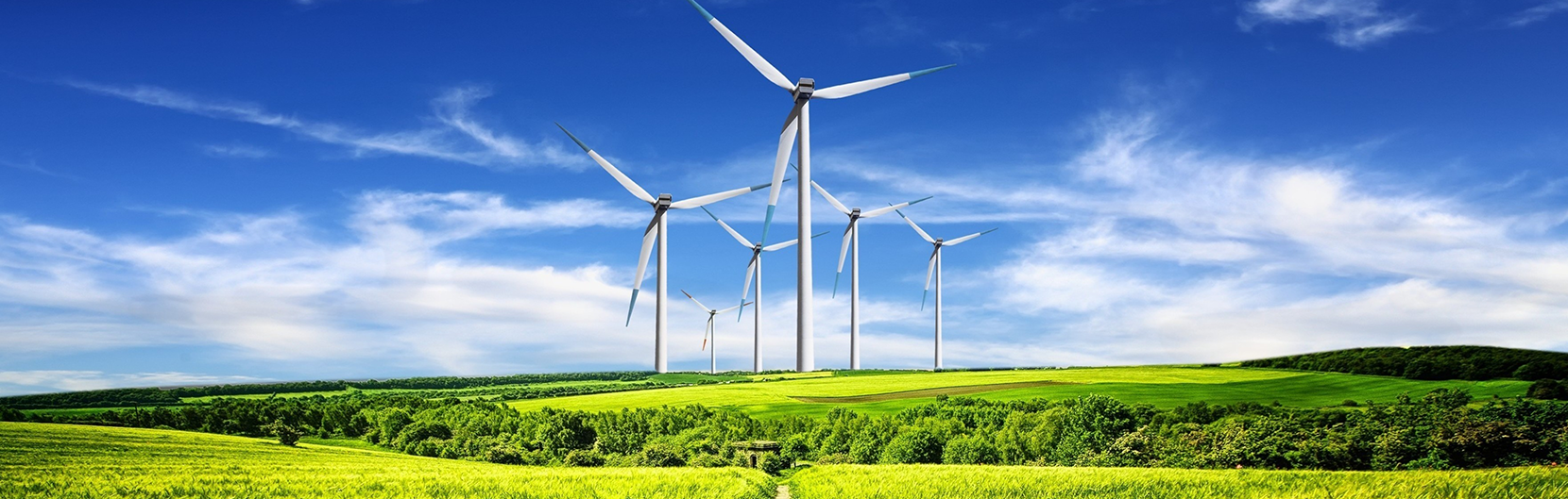 Développement durable