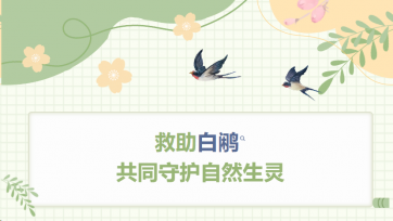 Sauver le calmar blanc et protéger les créatures naturelles ensemble